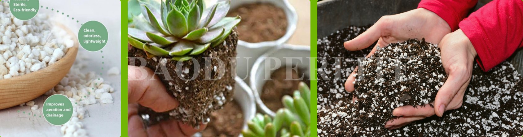 perlite in horticulture