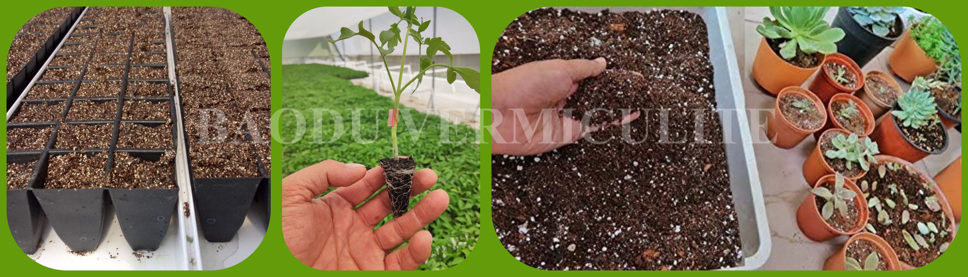 horticultural vermiculite